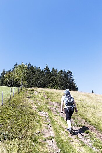 Wanderin im Aufstieg auf den Rohrhardsberg im Schwarzwald