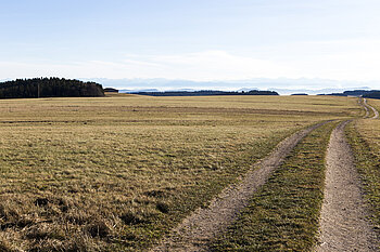 Alpenpanorama bei Herrischried
