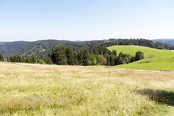 Wiesen und Wälder auf dem Rohrhardsberg im Mittleren Schwarzwald