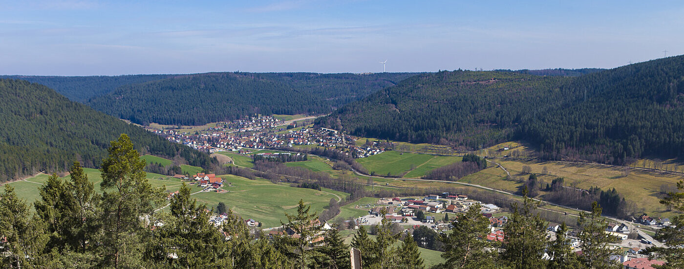 Aussicht vom Rinkenturm