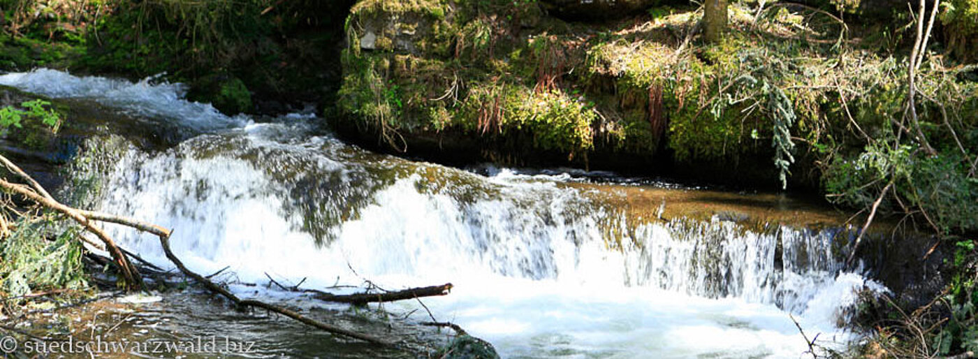 Minikaskade in der Teichschlucht