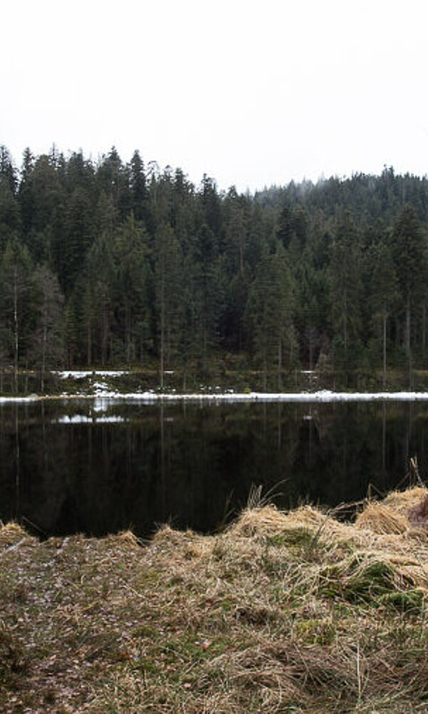 Wanderung an den Schurmsee