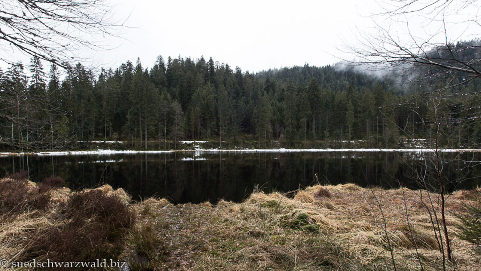 Blick über das dunkle Wasser des Schurmsee zu Schneeresten und einem Fichtenwald
