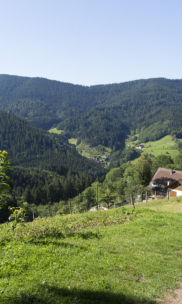 Wanderweg Himmelssteig