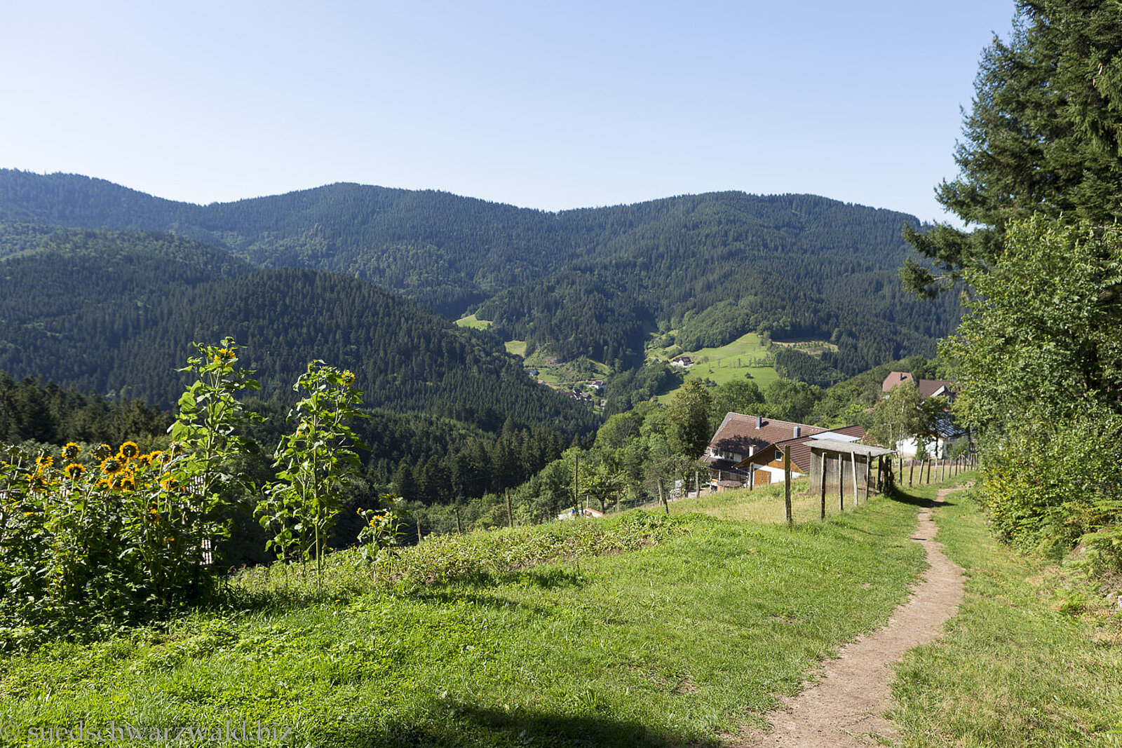 Aussicht vom Himmlischen Rastplatz am Bad Peterstaler Himmelssteig im Renchtal