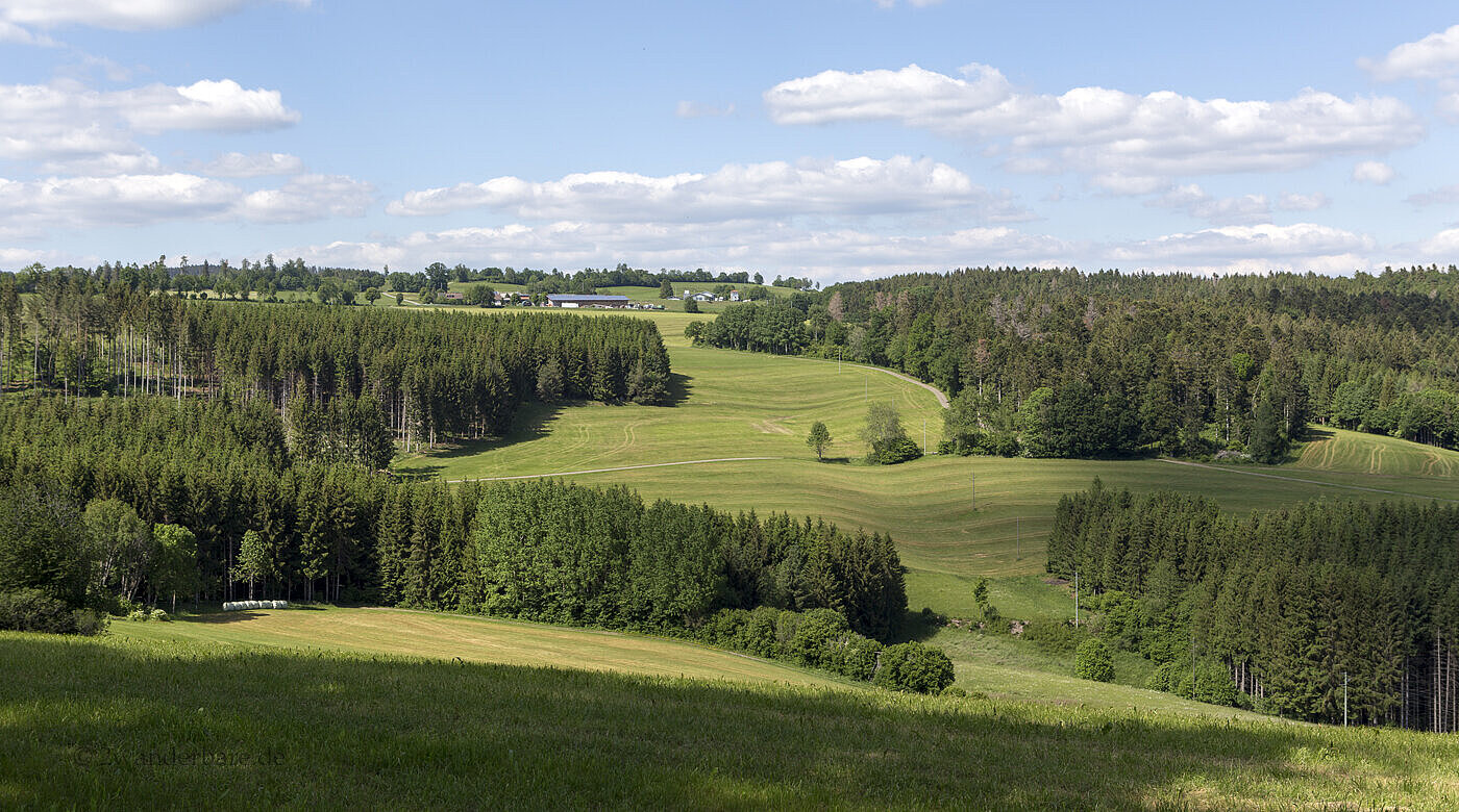 Landschaft bei Wilfingen, Dachsberg