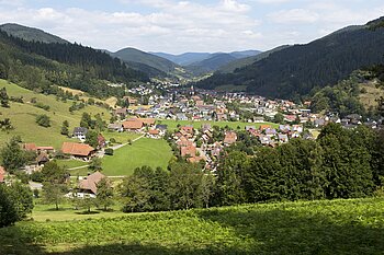 Aussicht über Oberwolfach im Tal der Wolf, Schwarzwald