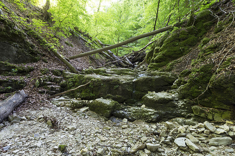 Wolfsschlucht bei Bad Urach
