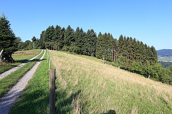 Wiesen entlang des Höhenwegs der Steinacher Hausstrecke nahe dem Kreuzbühl