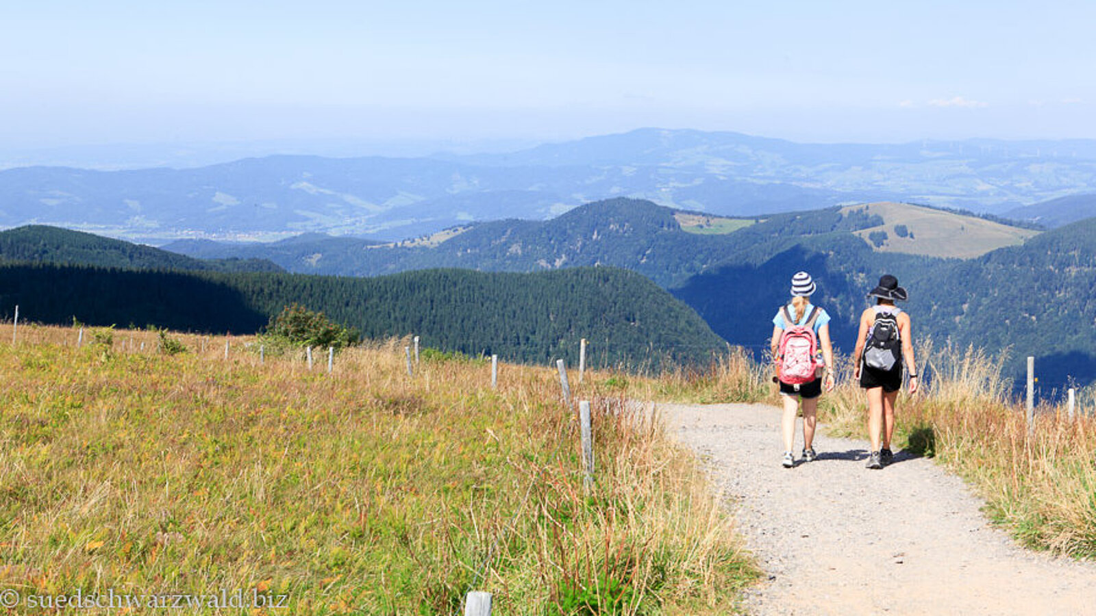 Aussicht beim Baldenweger Buck, dem zweithöchsten Gipfel des Feldbergs