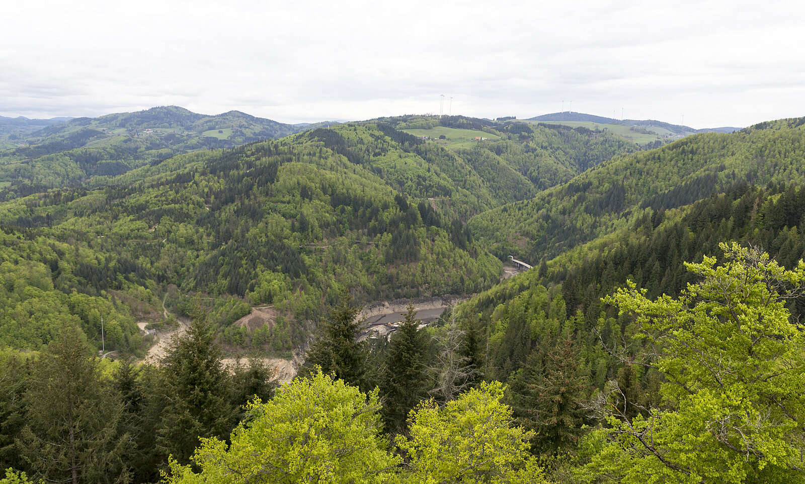 Aussicht von der Burgruine Bärenfels über die bewaldeten Berge im Hotzenwald
