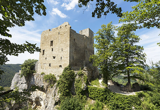 Blick auf die Burgruine Reußenstein