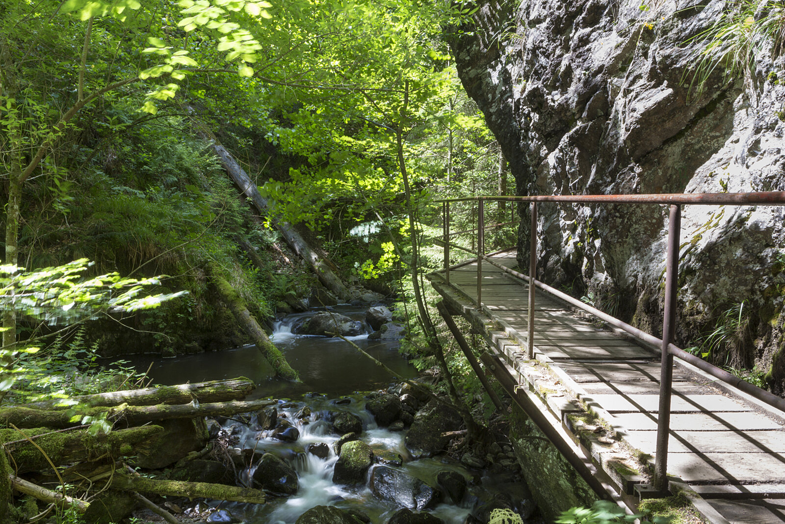 Steg entlang einer Felswand in der Ravennaschlucht im Höllental