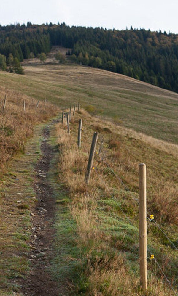 Genießerpfad Bernauer Hochtalsteig