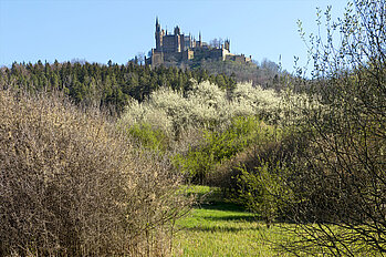 Landschaft unterhalb der Burg Hohenzollern
