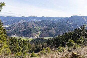 Ausblick vom Löcherbergwasen