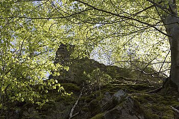 Blick hoch zur Außenmauer der Bubenstein