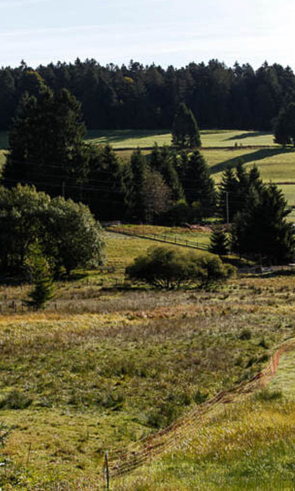 Lochhäuser Hochmoor im Murgtal