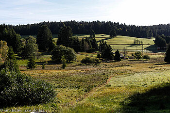 Landschaft im oberen Hotzenwald