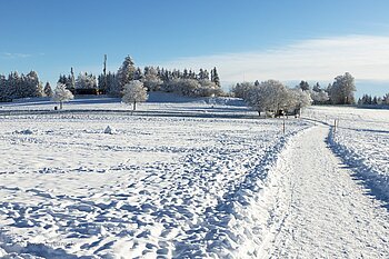 Winterwanderweg Loipenhausrunde Höchenschwand