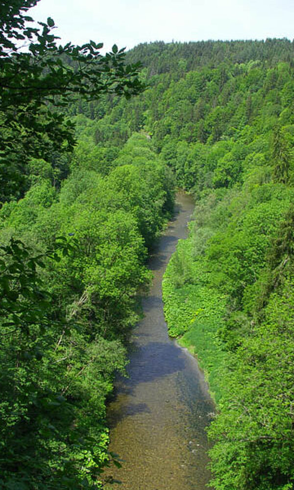 Die Wutachschlucht im Wutachgebiet