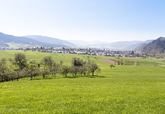 Aussicht durch das Harmersbacher Tal zu den Hügeln nördlich der Kinzig