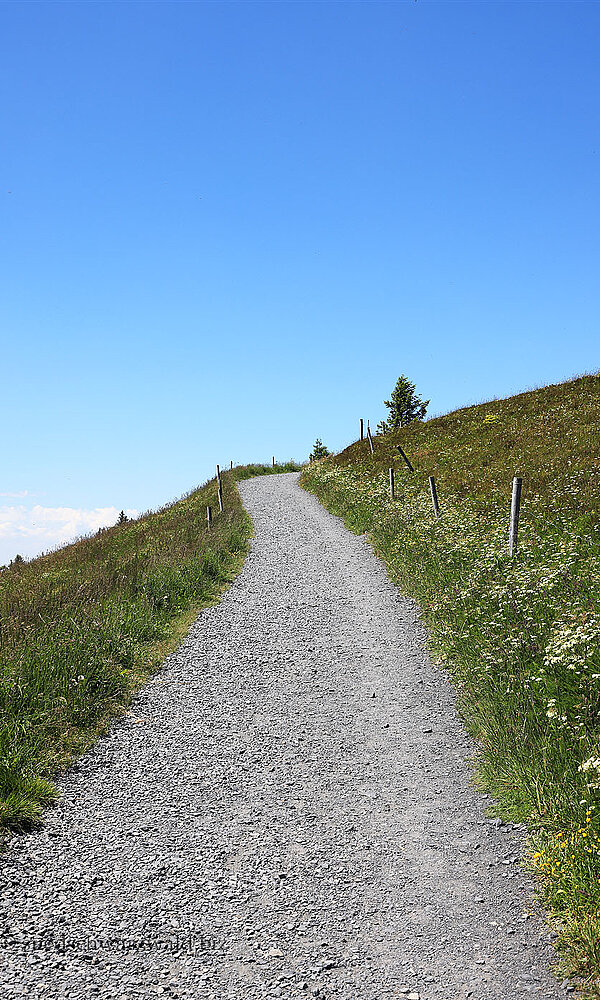 Wanderweg hoch auf den Belchengipfel