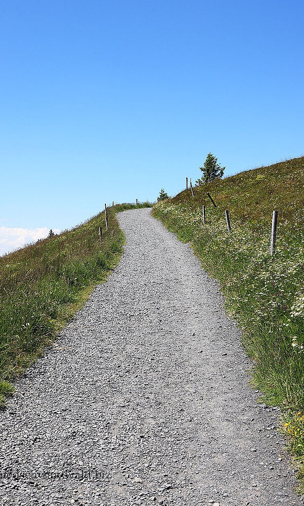Wanderweg hoch auf den Belchengipfel