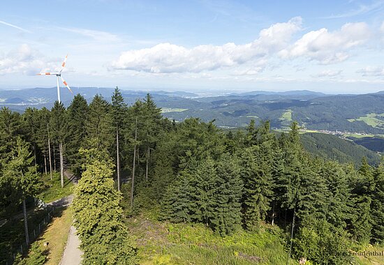 Aussicht vom Brandenkopfturm über die Wälder rund ums Harmersbachtal