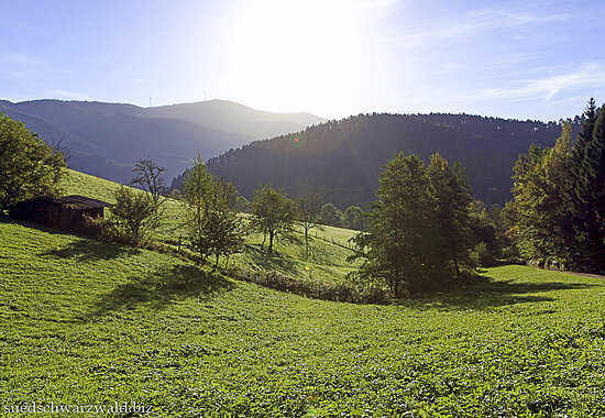 Wanderung von Gutach auf den Farrenkopf