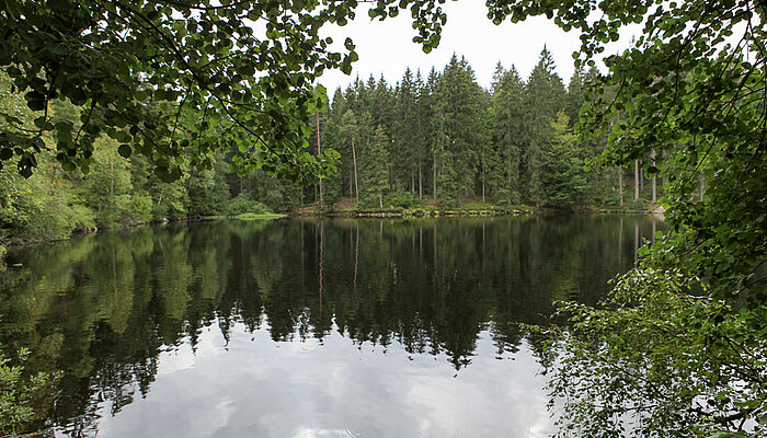 Wanderung an den Mathisleweiher