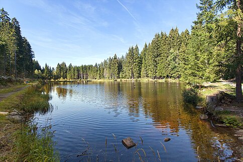 Blick über den Eisweiher