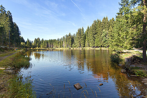 Blick über den Eisweiher