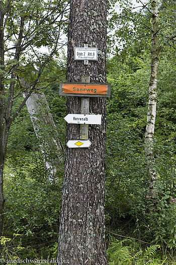 Wegweiser zum Bernstein