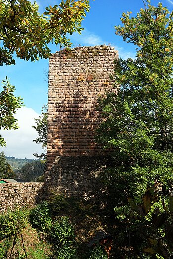 Von Bäumen weitgehend verdeckter Bergfried der Burgruine Schilteck