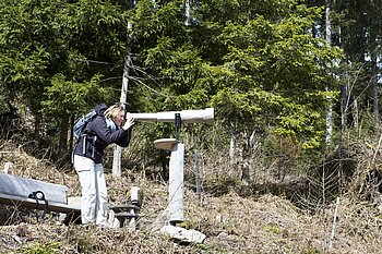 aus Holz gefertigtes Fernrohr nahe der Harkhöhe 