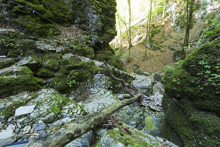 Mitten in der Wolfsschlucht