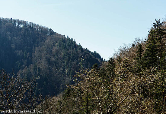 Aussicht über das Wehrabecken am unteren Ende der Wehraschlucht