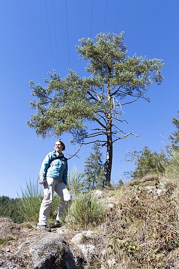 Wanderin im Aufstieg zum Burgfelsen Berneck
