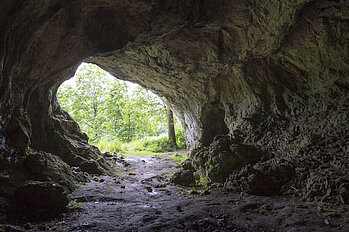 Hohlensteinhöhle am Neandertalerweg im Lonetal