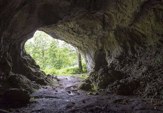 Hohlensteinhöhle am Neandertalerweg im Lonetal