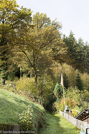 Genießerpfad Gutacher Tälersteig