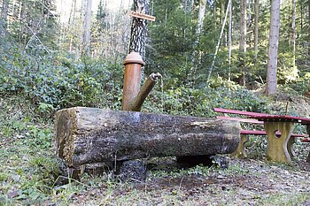 Kahlhiebbrunnen bei Hornberg