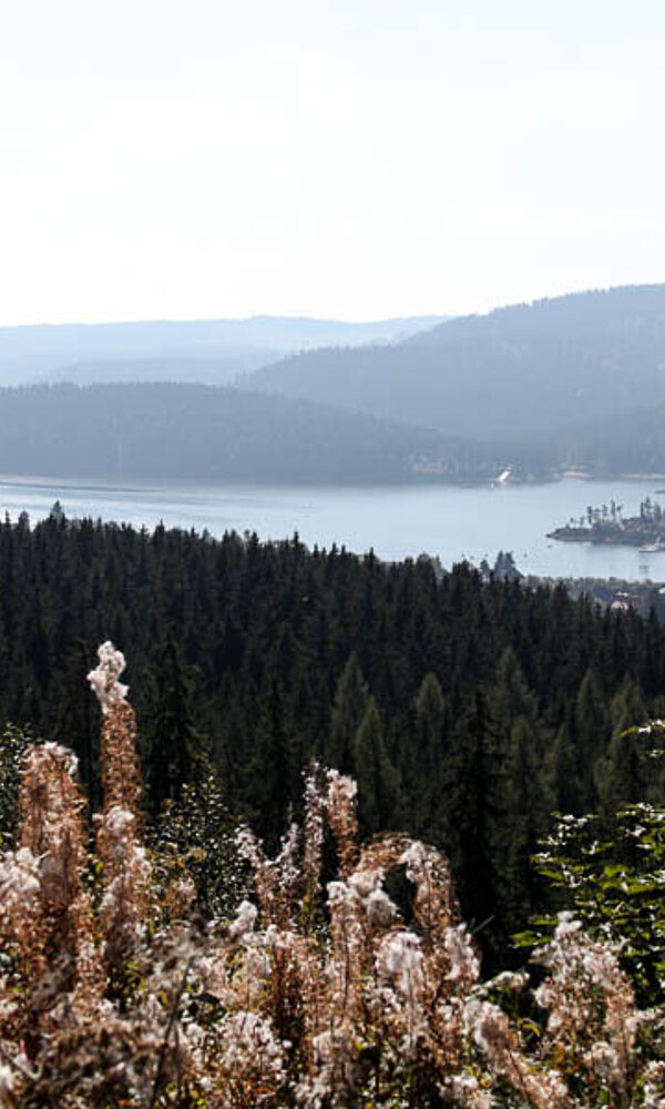 Aussicht vom Riesenbühlturm auf den Schluchsee