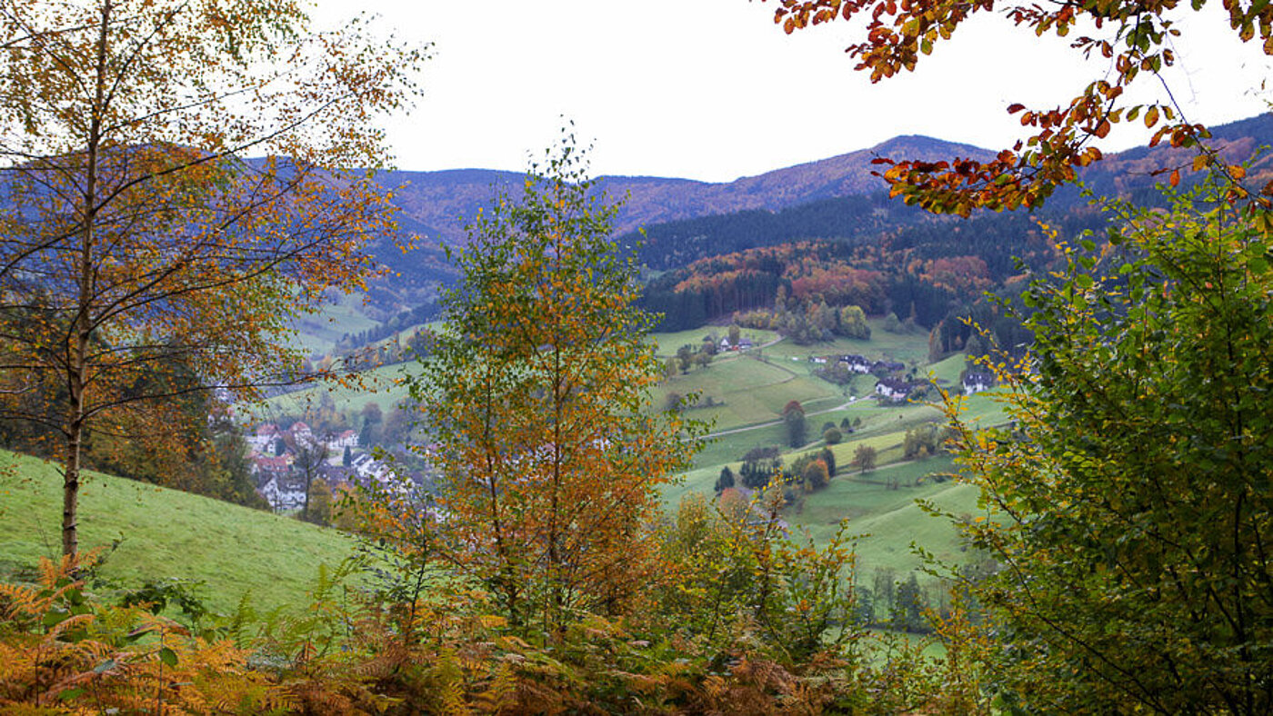 Blick ins Yacher Tal