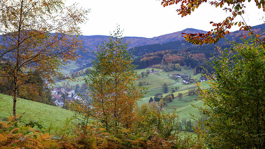 Blick ins Yacher Tal