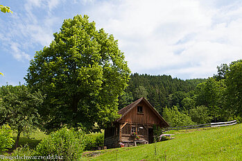 Wehrlehofmühle im ZweiTälerLand