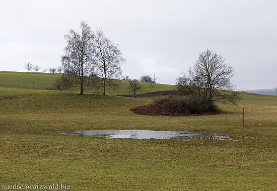 Eichener See bei Schopfheim am Dinkelberg