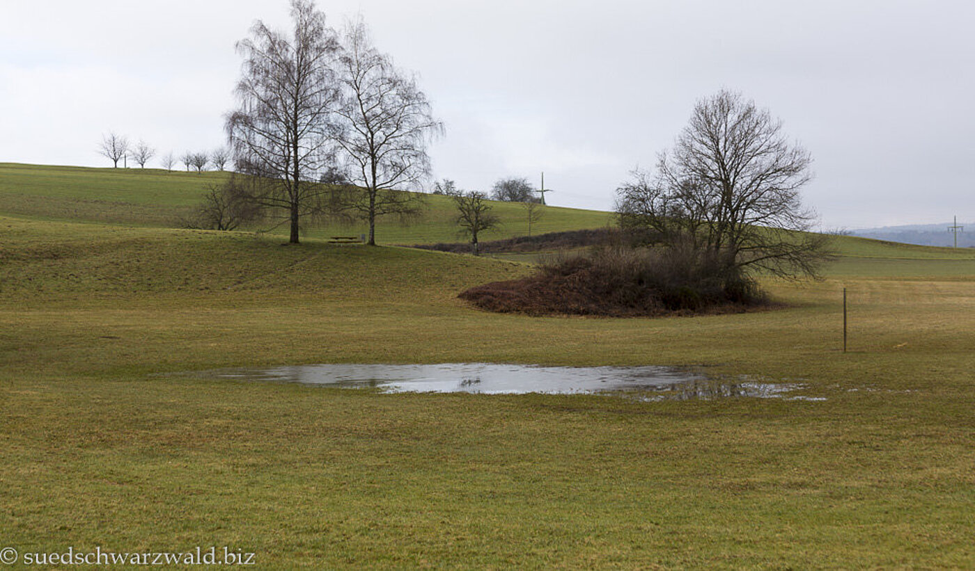 Eichener See bei Schopfheim