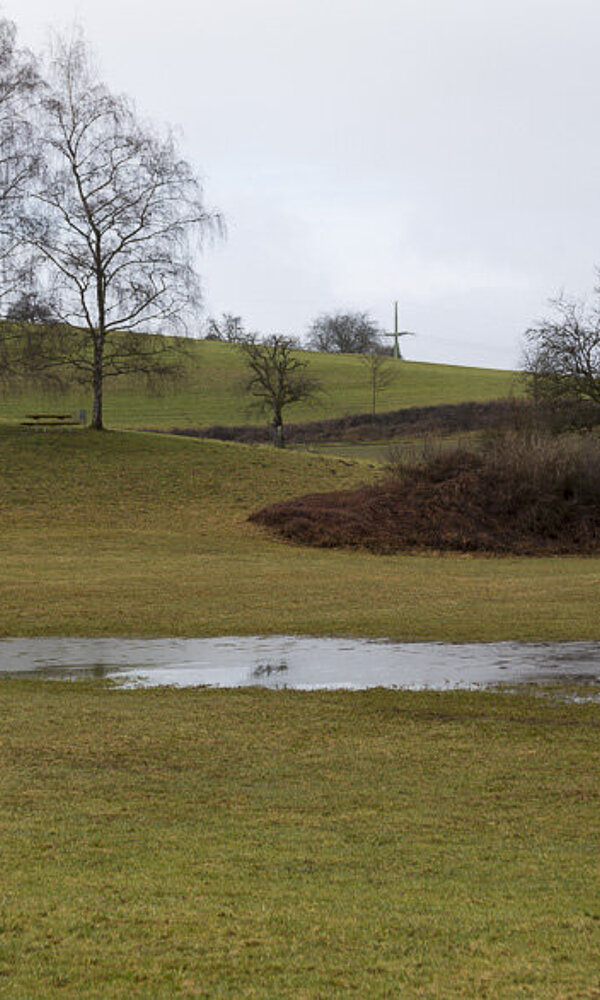 Eichener See bei Schopfheim